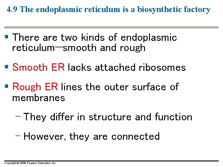 4. 9 The endoplasmic reticulum is a biosynthetic factory § There are two kinds 4. 9 The endoplasmic reticulum is a biosynthetic factory § There are two kinds