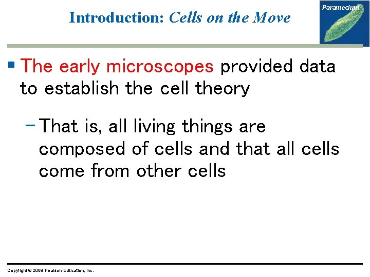 Introduction: Cells on the Move Paramecium § The early microscopes provided data to establish Introduction: Cells on the Move Paramecium § The early microscopes provided data to establish
