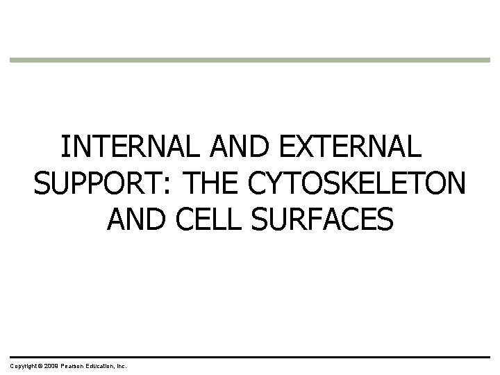 INTERNAL AND EXTERNAL SUPPORT: THE CYTOSKELETON AND CELL SURFACES Copyright © 2009 Pearson Education, INTERNAL AND EXTERNAL SUPPORT: THE CYTOSKELETON AND CELL SURFACES Copyright © 2009 Pearson Education,
