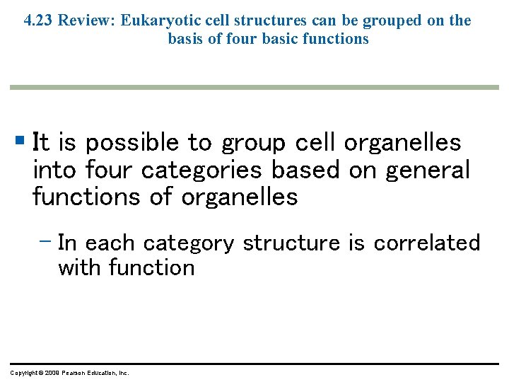 4. 23 Review: Eukaryotic cell structures can be grouped on the basis of four 4. 23 Review: Eukaryotic cell structures can be grouped on the basis of four