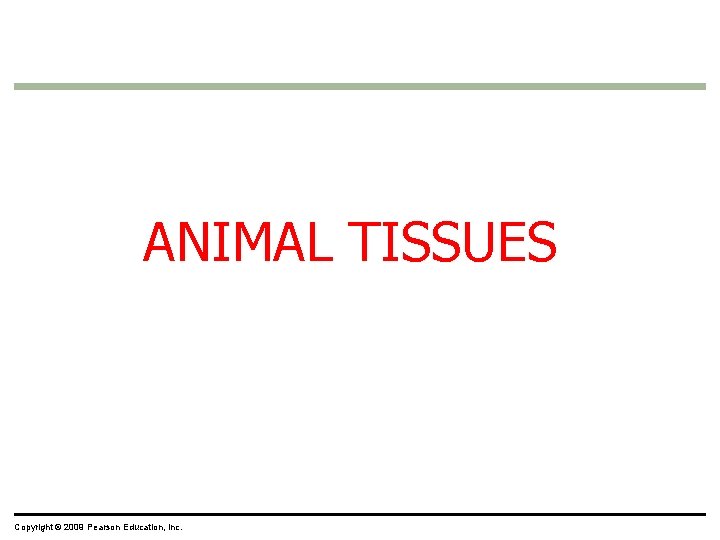 ANIMAL TISSUES Copyright © 2009 Pearson Education, Inc. ANIMAL TISSUES Copyright © 2009 Pearson Education, Inc.