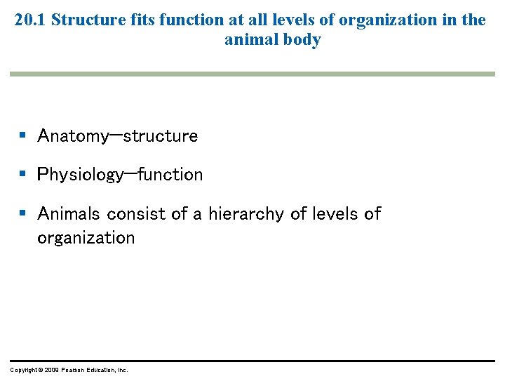 20. 1 Structure fits function at all levels of organization in the animal body 20. 1 Structure fits function at all levels of organization in the animal body