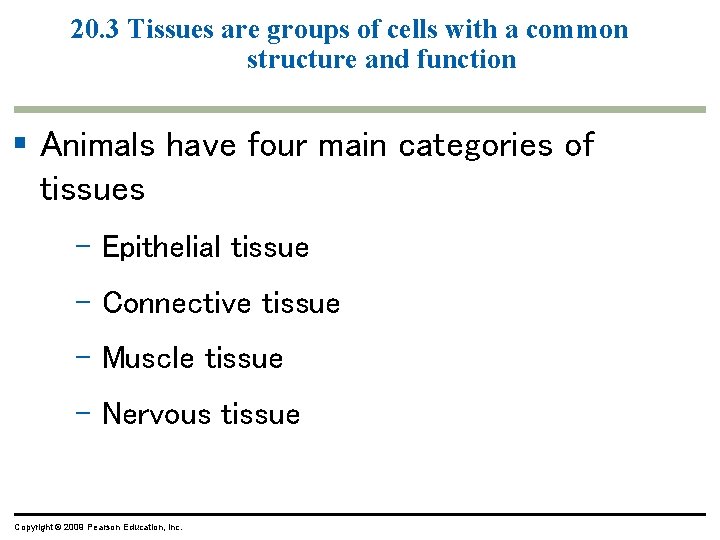 20. 3 Tissues are groups of cells with a common structure and function § 20. 3 Tissues are groups of cells with a common structure and function §