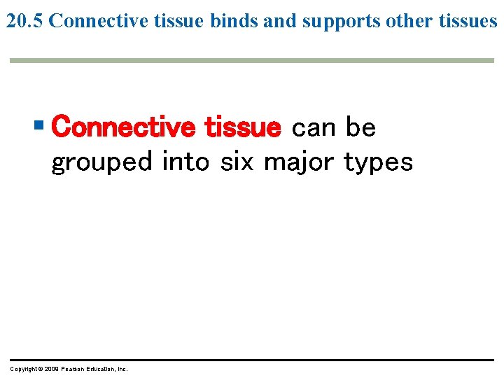 20. 5 Connective tissue binds and supports other tissues § Connective tissue can be 20. 5 Connective tissue binds and supports other tissues § Connective tissue can be