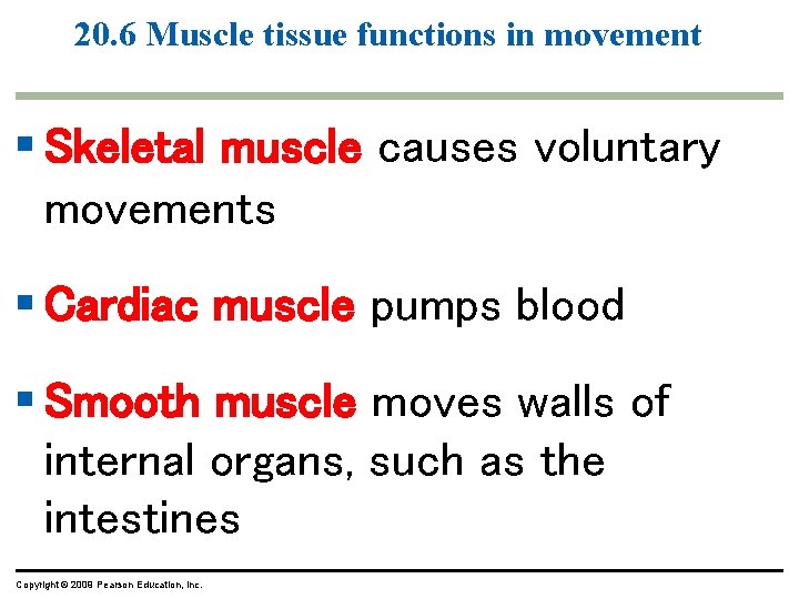 20. 6 Muscle tissue functions in movement § Skeletal muscle causes voluntary movements § 20. 6 Muscle tissue functions in movement § Skeletal muscle causes voluntary movements §