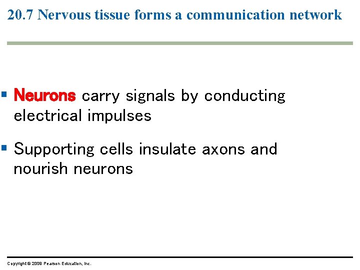 20. 7 Nervous tissue forms a communication network § Neurons carry signals by conducting 20. 7 Nervous tissue forms a communication network § Neurons carry signals by conducting
