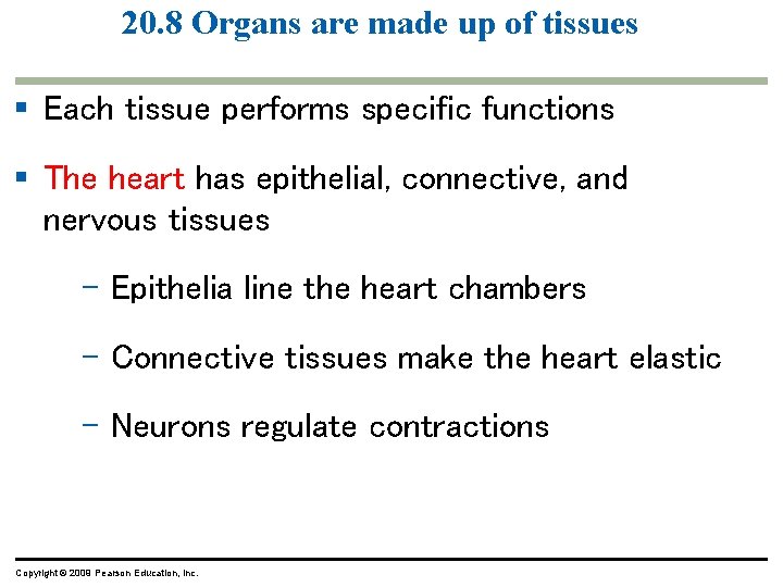20. 8 Organs are made up of tissues § Each tissue performs specific functions 20. 8 Organs are made up of tissues § Each tissue performs specific functions