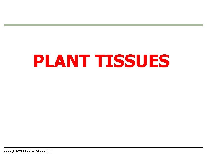 PLANT TISSUES Copyright © 2009 Pearson Education, Inc. PLANT TISSUES Copyright © 2009 Pearson Education, Inc.