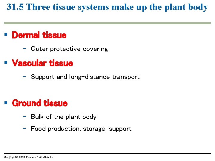 31. 5 Three tissue systems make up the plant body § Dermal tissue – 31. 5 Three tissue systems make up the plant body § Dermal tissue –