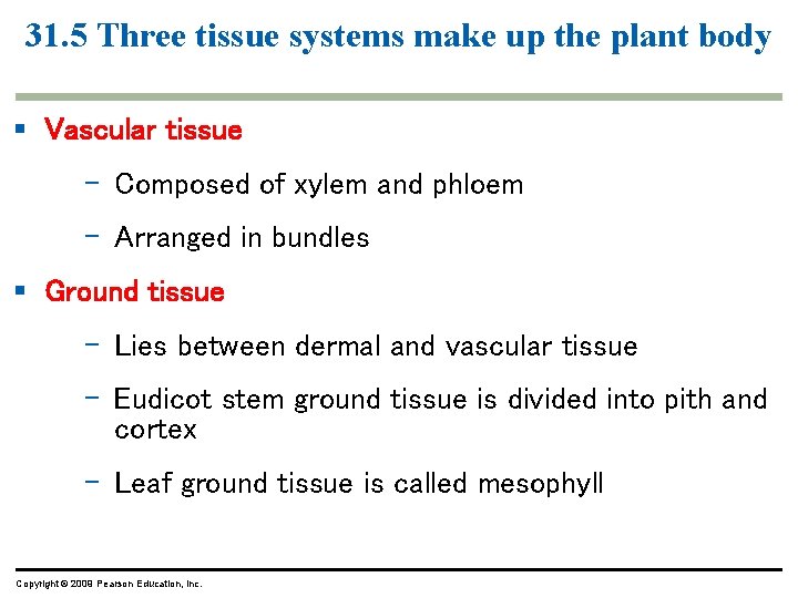 31. 5 Three tissue systems make up the plant body § Vascular tissue – 31. 5 Three tissue systems make up the plant body § Vascular tissue –