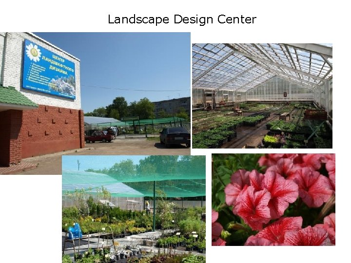 Landscape Design Center 