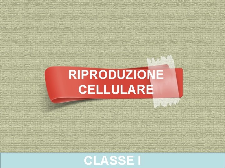 RIPRODUZIONE CELLULARE CLASSE I 