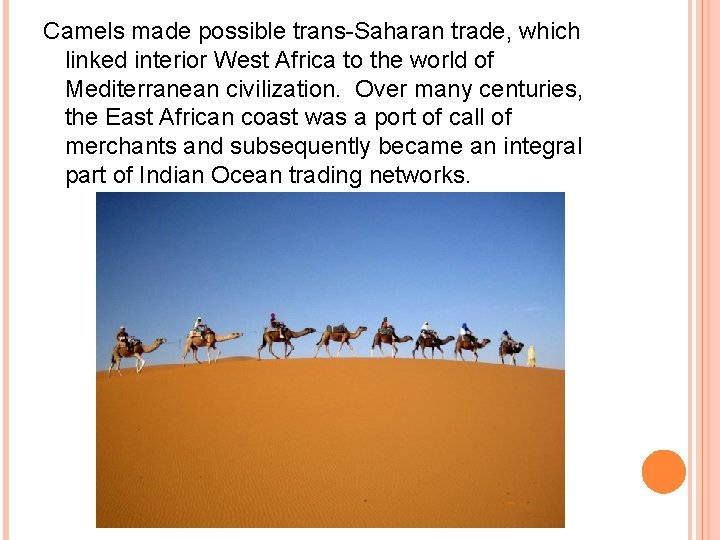 Camels made possible trans-Saharan trade, which linked interior West Africa to the world of