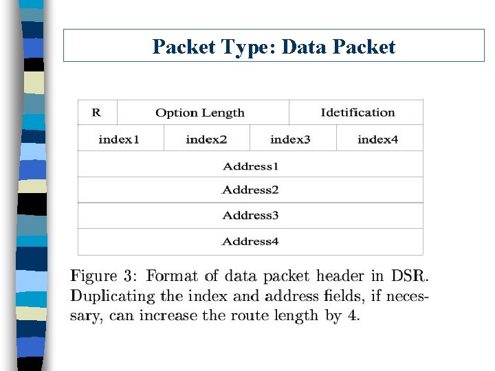 Packet Type: Data Packet 