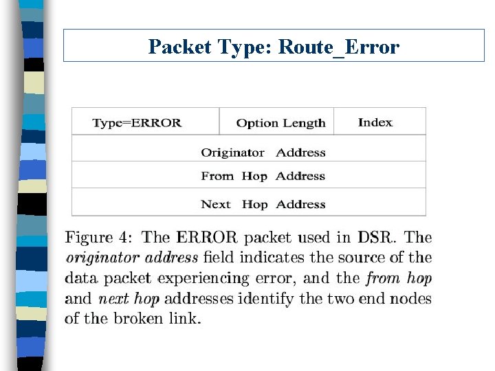 Packet Type: Route_Error 