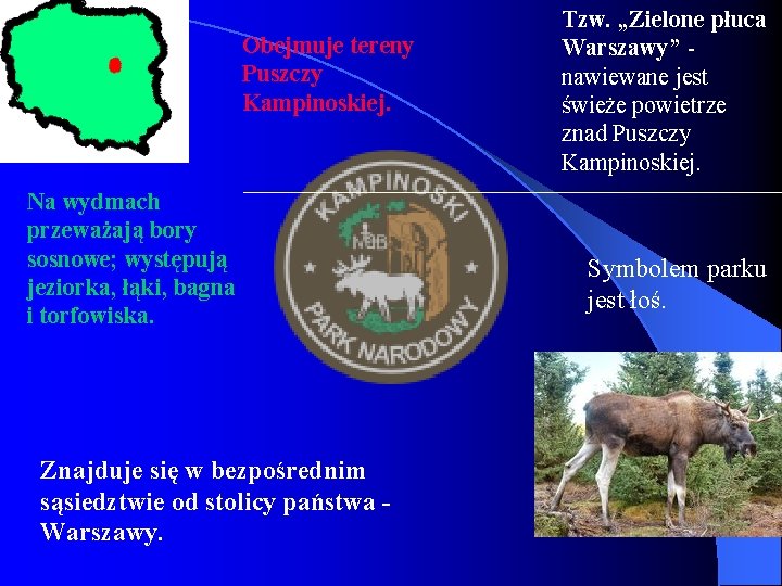 Obejmuje tereny Puszczy Kampinoskiej. Na wydmach przeważają bory sosnowe; występują jeziorka, łąki, bagna i