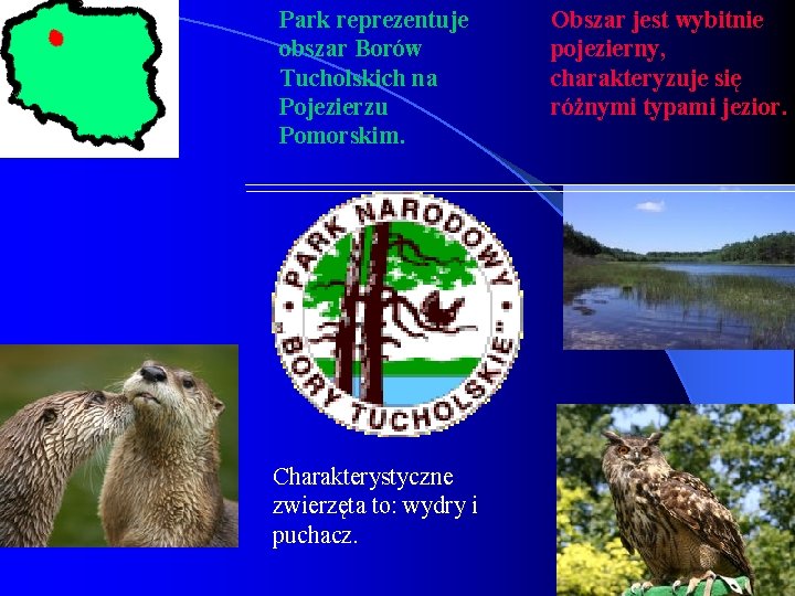 Park reprezentuje obszar Borów Tucholskich na Pojezierzu Pomorskim. Charakterystyczne zwierzęta to: wydry i puchacz.