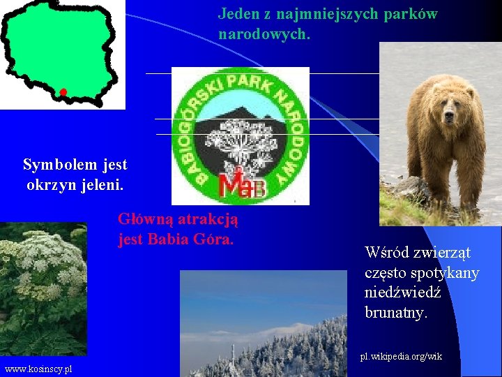 Jeden z najmniejszych parków narodowych. Symbolem jest okrzyn jeleni. Główną atrakcją jest Babia Góra.