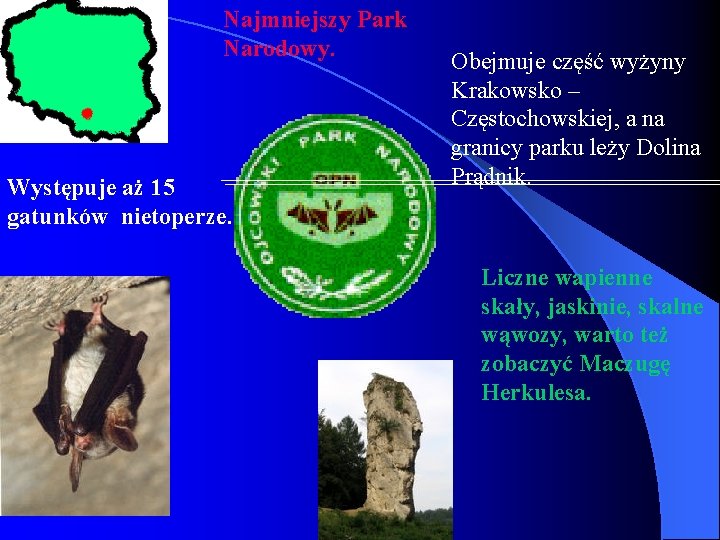 Najmniejszy Park Narodowy. Występuje aż 15 gatunków nietoperze. Obejmuje część wyżyny Krakowsko – Częstochowskiej,