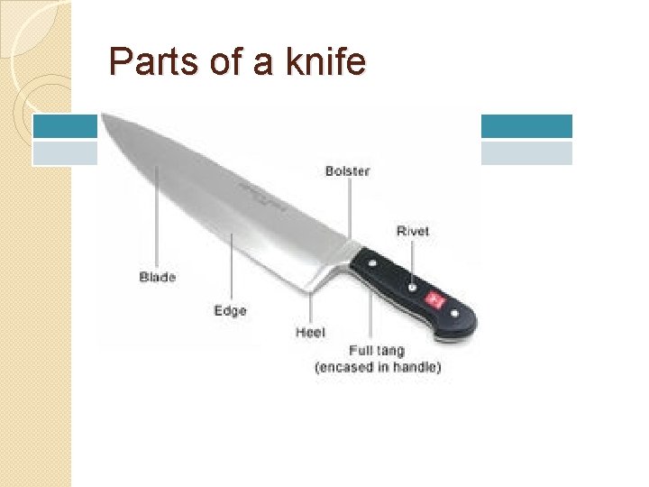 Parts of a knife 