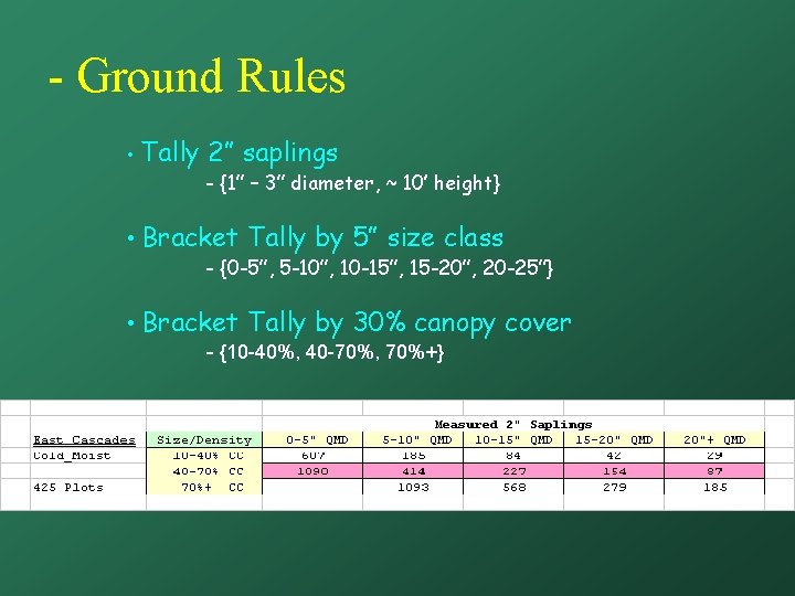 - Ground Rules • Tally 2” saplings - {1” – 3” diameter, ~ 10’