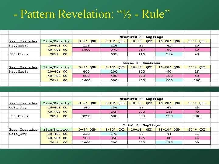 - Pattern Revelation: “½ - Rule” 