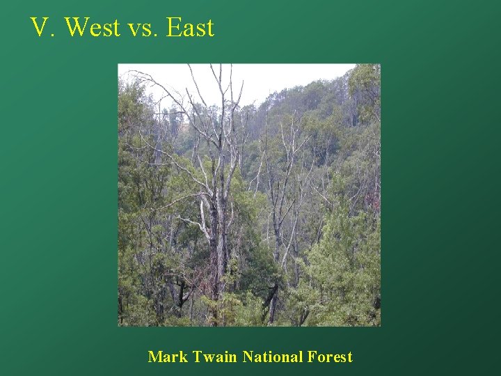 V. West vs. East Mark Twain National Forest 