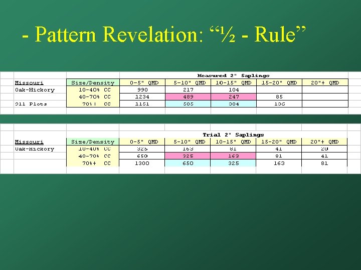 - Pattern Revelation: “½ - Rule” 