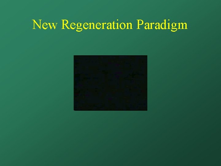 New Regeneration Paradigm 