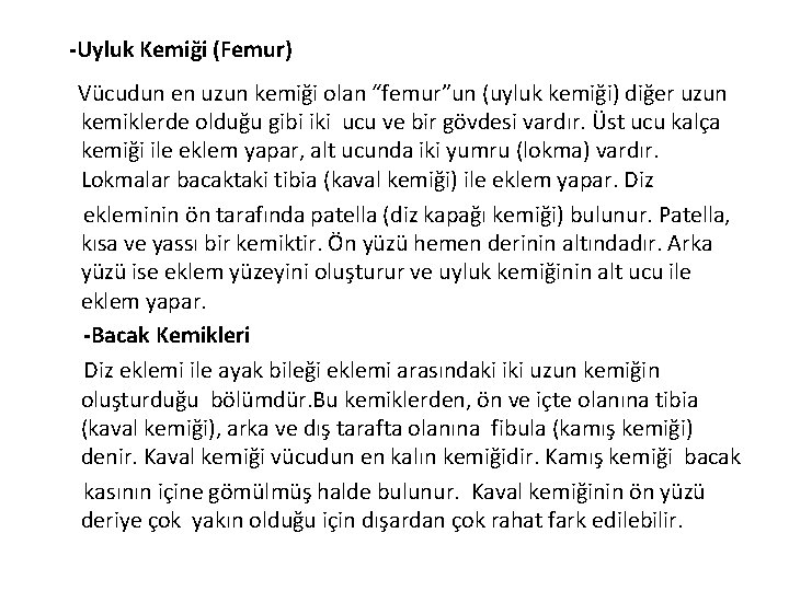 -Uyluk Kemiği (Femur) Vücudun en uzun kemiği olan “femur”un (uyluk kemiği) diğer uzun kemiklerde