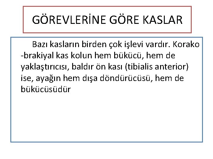 GÖREVLERİNE GÖRE KASLAR Bazı kasların birden çok işlevi vardır. Korako -brakiyal kas kolun hem