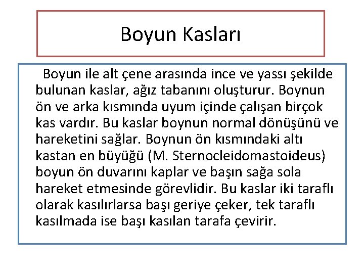 Boyun Kasları Boyun ile alt çene arasında ince ve yassı şekilde bulunan kaslar, ağız