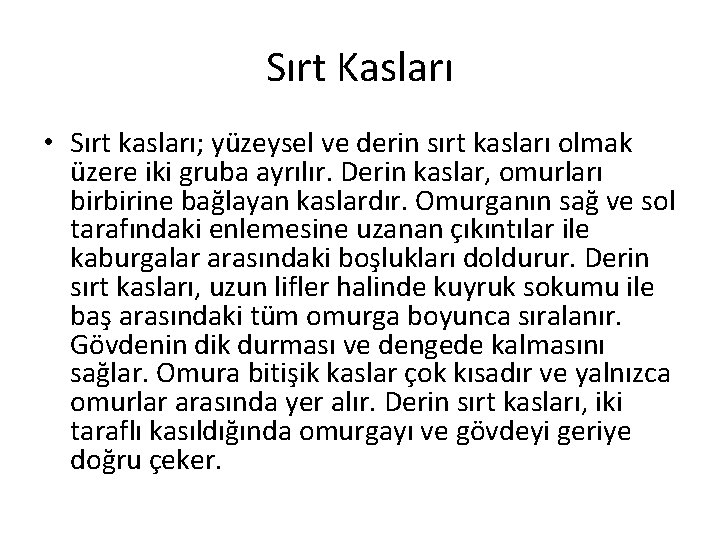 Sırt Kasları • Sırt kasları; yüzeysel ve derin sırt kasları olmak üzere iki gruba