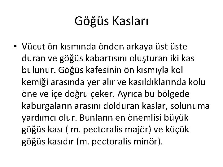 Göğüs Kasları • Vücut ön kısmında önden arkaya üste duran ve göğüs kabartısını oluşturan