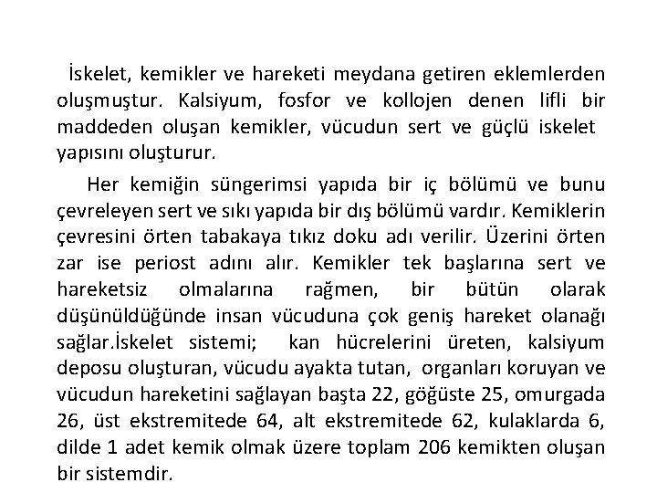 İskelet, kemikler ve hareketi meydana getiren eklemlerden oluşmuştur. Kalsiyum, fosfor ve kollojen denen lifli