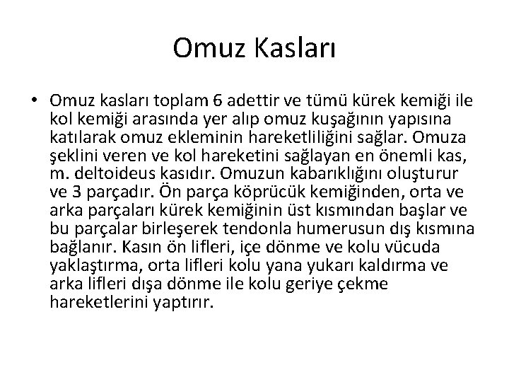 Omuz Kasları • Omuz kasları toplam 6 adettir ve tümü kürek kemiği ile kol