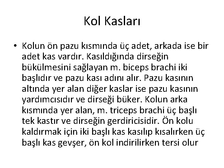 Kol Kasları • Kolun ön pazu kısmında üç adet, arkada ise bir adet kas