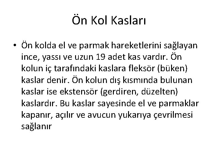 Ön Kol Kasları • Ön kolda el ve parmak hareketlerini sağlayan ince, yassı ve