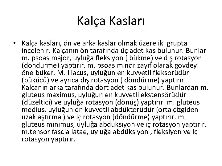 Kalça Kasları • Kalça kasları, ön ve arka kaslar olmak üzere iki grupta incelenir.