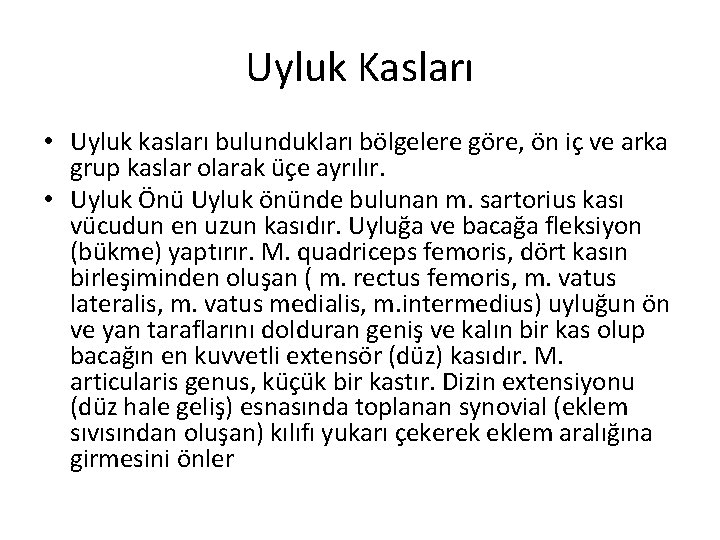 Uyluk Kasları • Uyluk kasları bulundukları bölgelere göre, ön iç ve arka grup kaslar