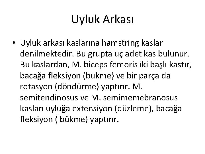 Uyluk Arkası • Uyluk arkası kaslarına hamstring kaslar denilmektedir. Bu grupta üç adet kas