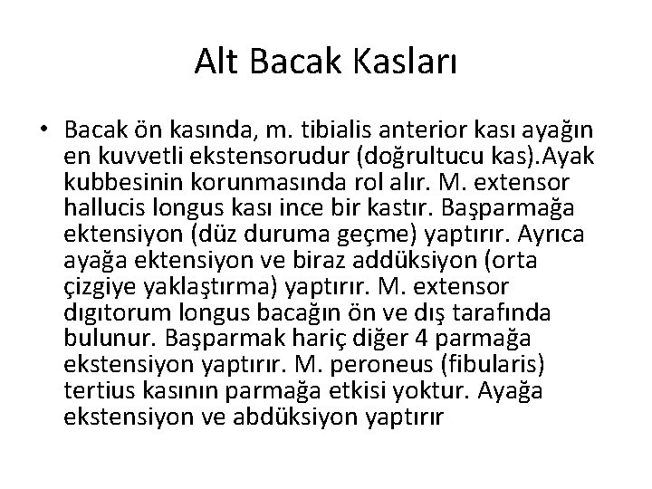 Alt Bacak Kasları • Bacak ön kasında, m. tibialis anterior kası ayağın en kuvvetli