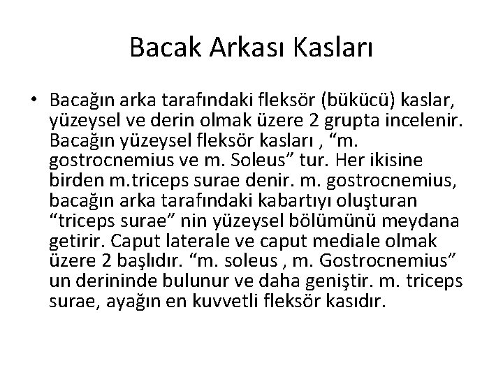 Bacak Arkası Kasları • Bacağın arka tarafındaki fleksör (bükücü) kaslar, yüzeysel ve derin olmak