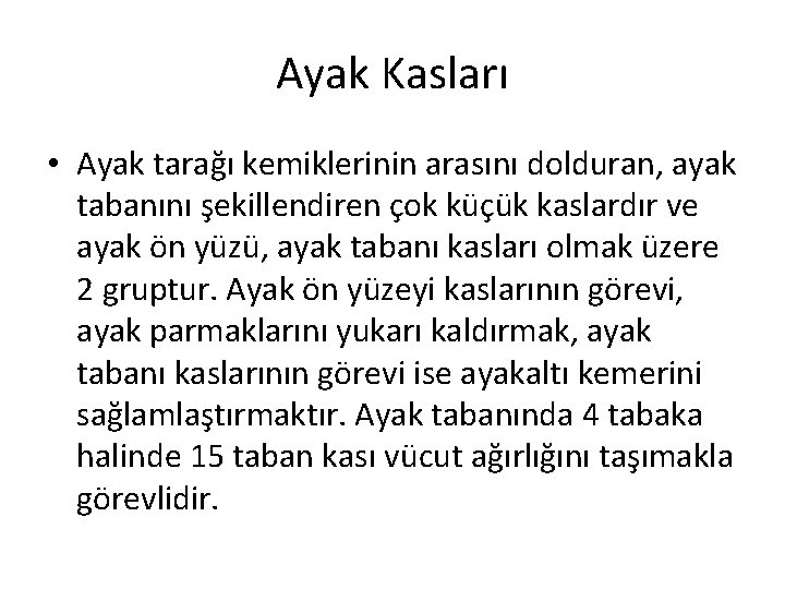 Ayak Kasları • Ayak tarağı kemiklerinin arasını dolduran, ayak tabanını şekillendiren çok küçük kaslardır