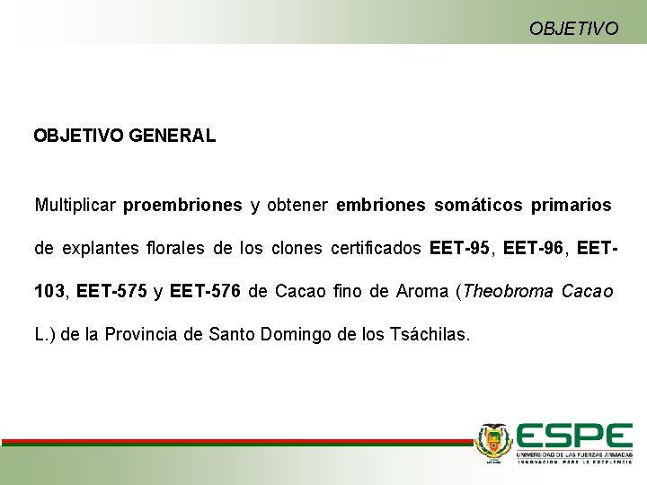 OBJETIVO GENERAL Multiplicar proembriones y obtener embriones somáticos primarios de explantes florales de los