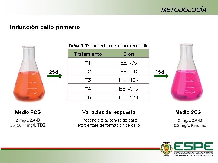 METODOLOGÍA Inducción callo primario Tabla 3. Tratamientos de inducción a callo 25 d Medio