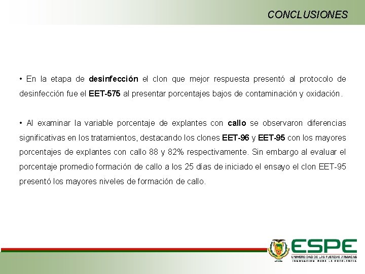 CONCLUSIONES • En la etapa de desinfección el clon que mejor respuesta presentó al