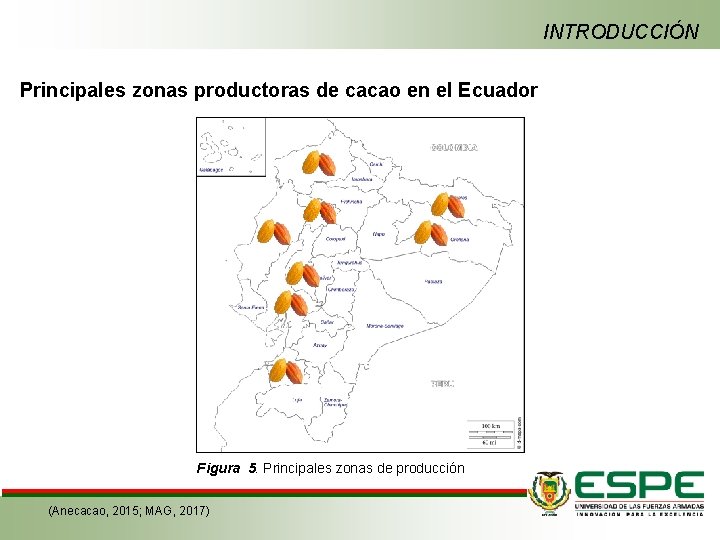 INTRODUCCIÓN Principales zonas productoras de cacao en el Ecuador Figura 5. Principales zonas de