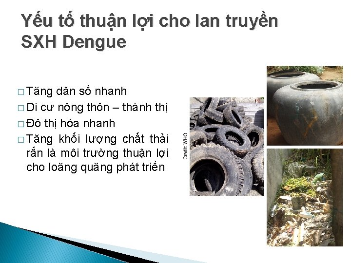 Yếu tố thuận lợi cho lan truyền SXH Dengue � Tăng dân số nhanh