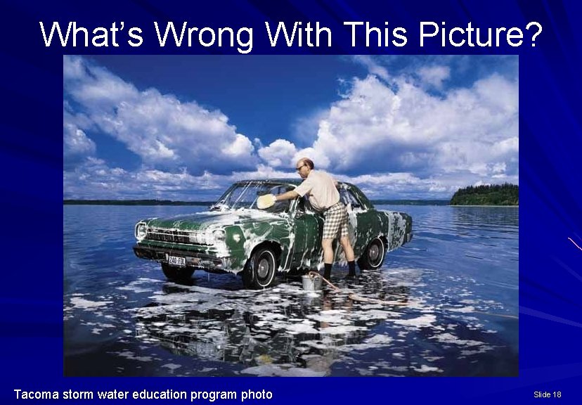 What’s Wrong With This Picture? Tacoma storm water education program photo Slide 18 